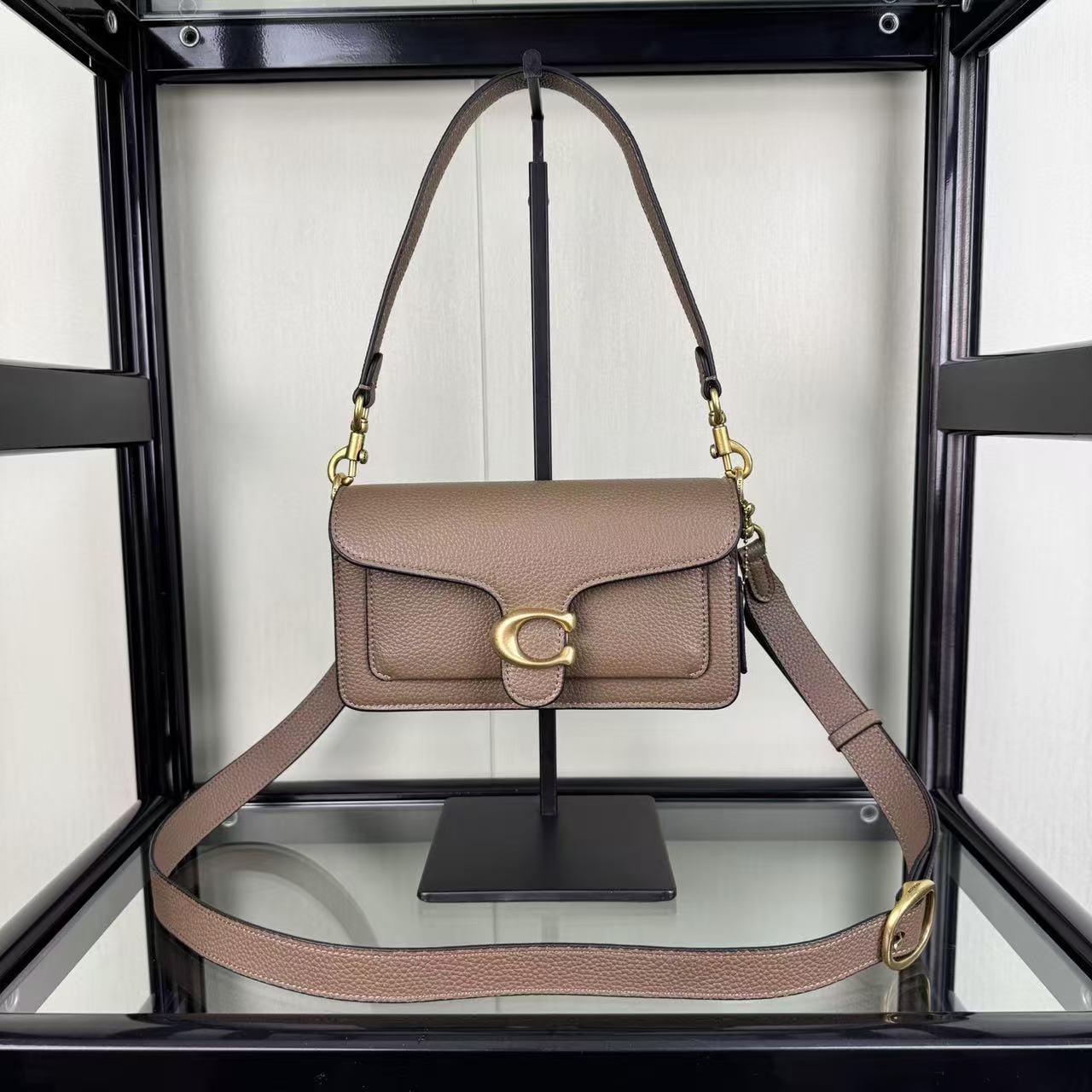 Borsa tabbi